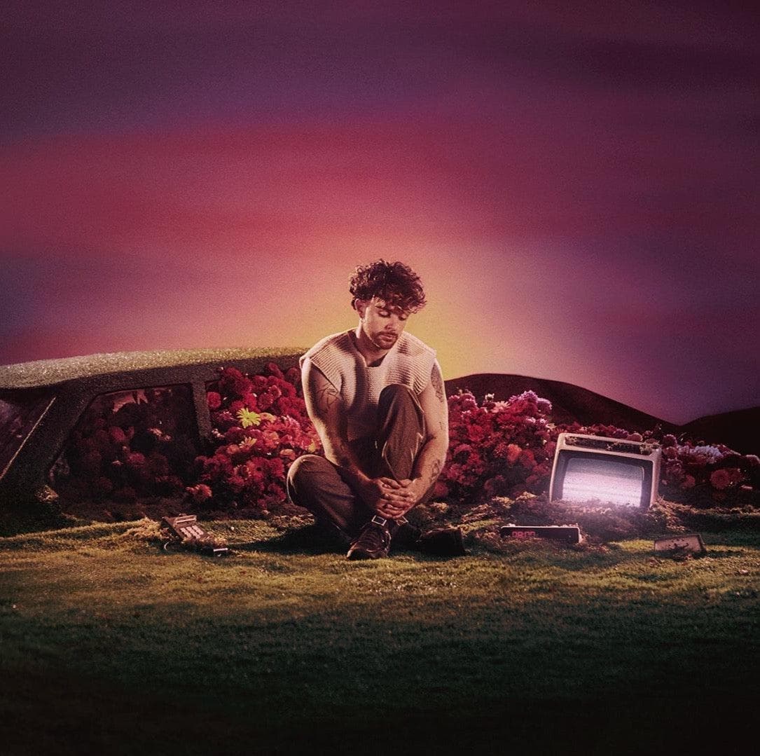 Vinyl Tom Grennan - What Ifs & Maybes (Tri-Colour Marble Effect Vinyl) (Dusk Edition)