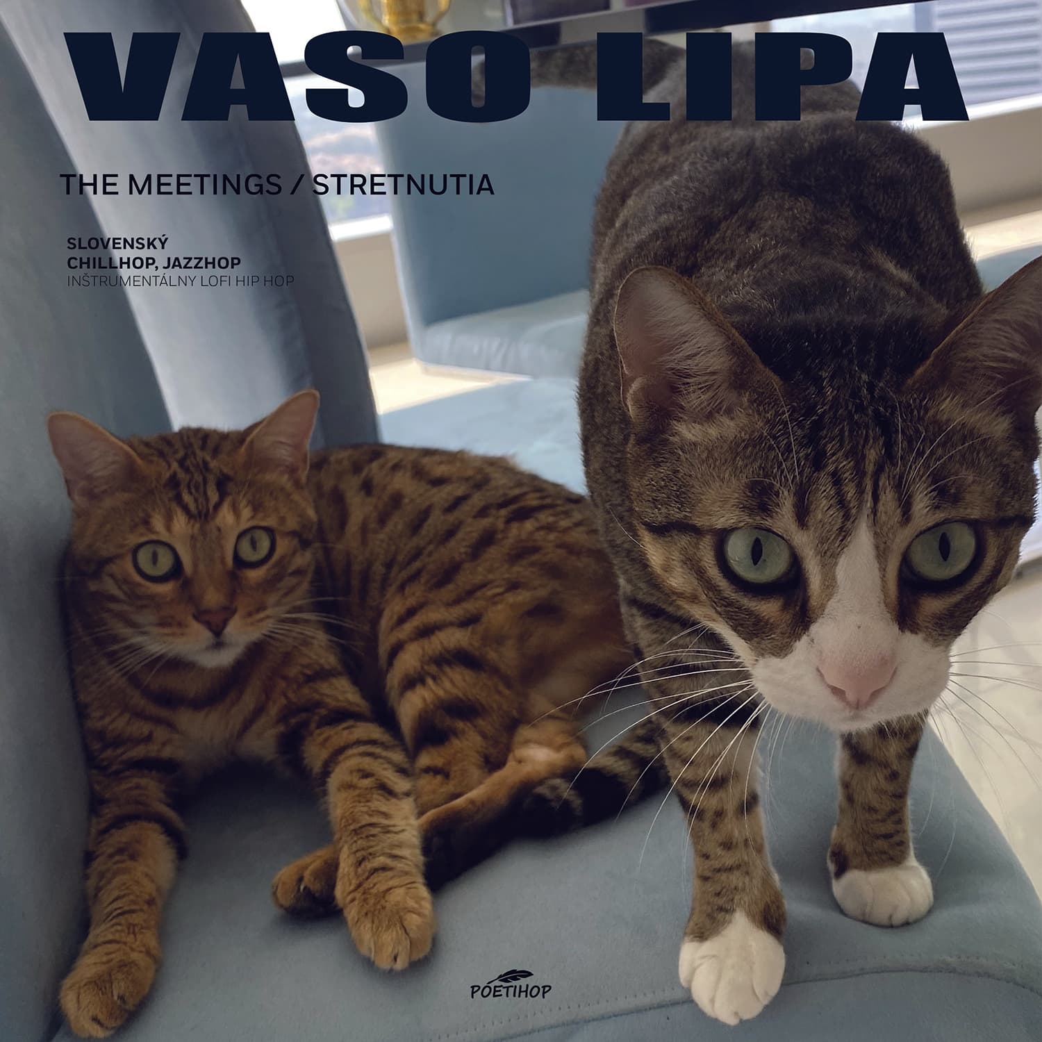 Vinyl Vaso Lipa - The Meetings/ Stretnutia 1