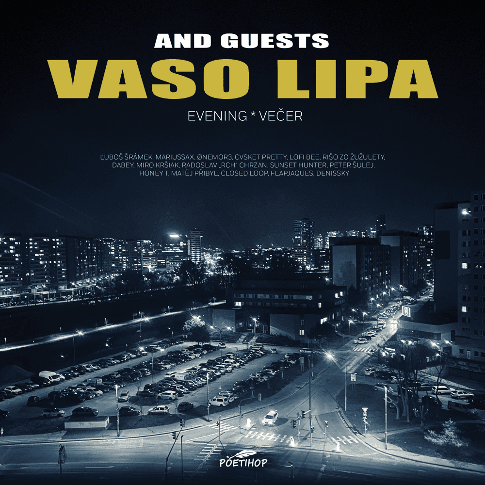 Vinyl Vaso Lipa - Evening