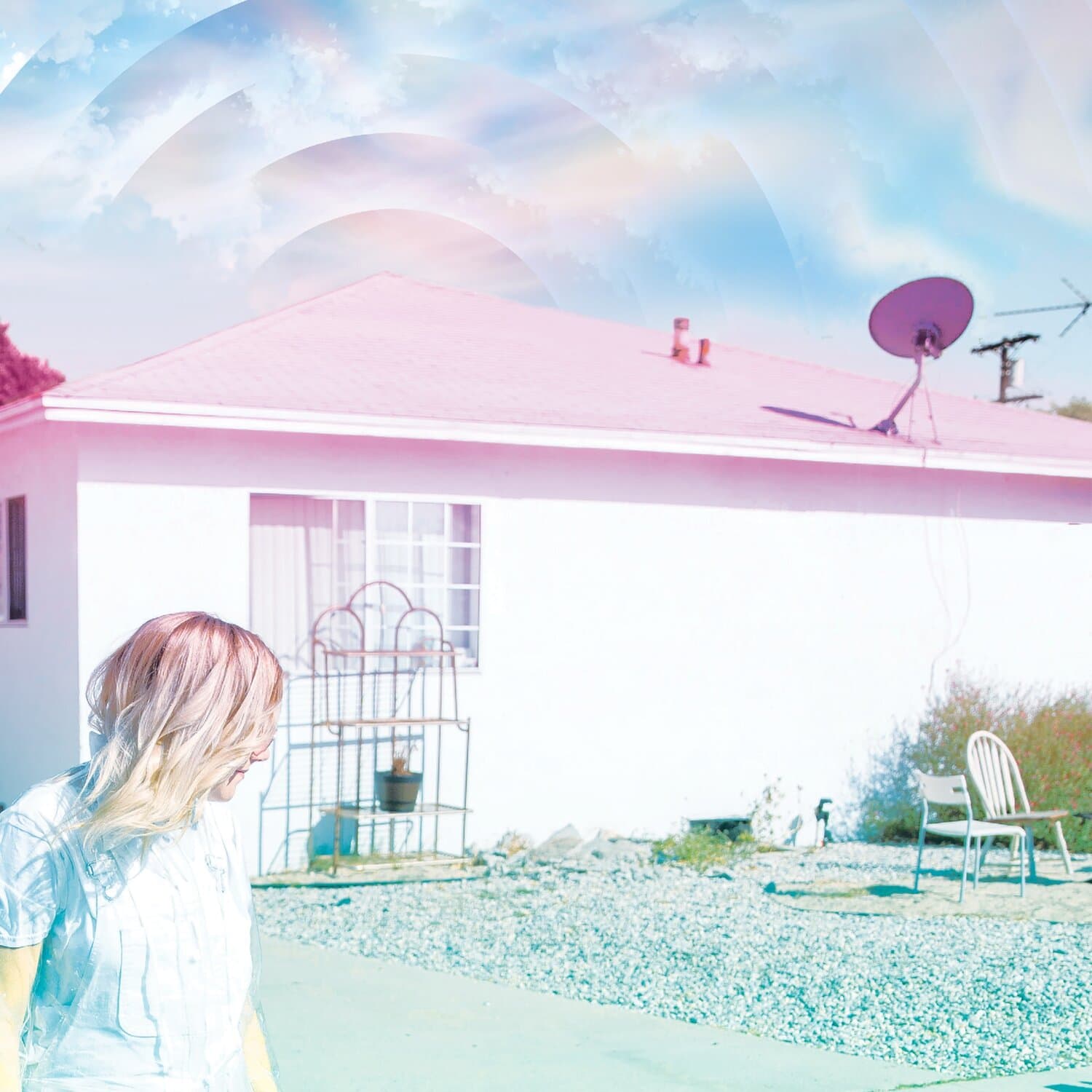 CD VITA AND THE WOOLF - ANNA OHIO 1