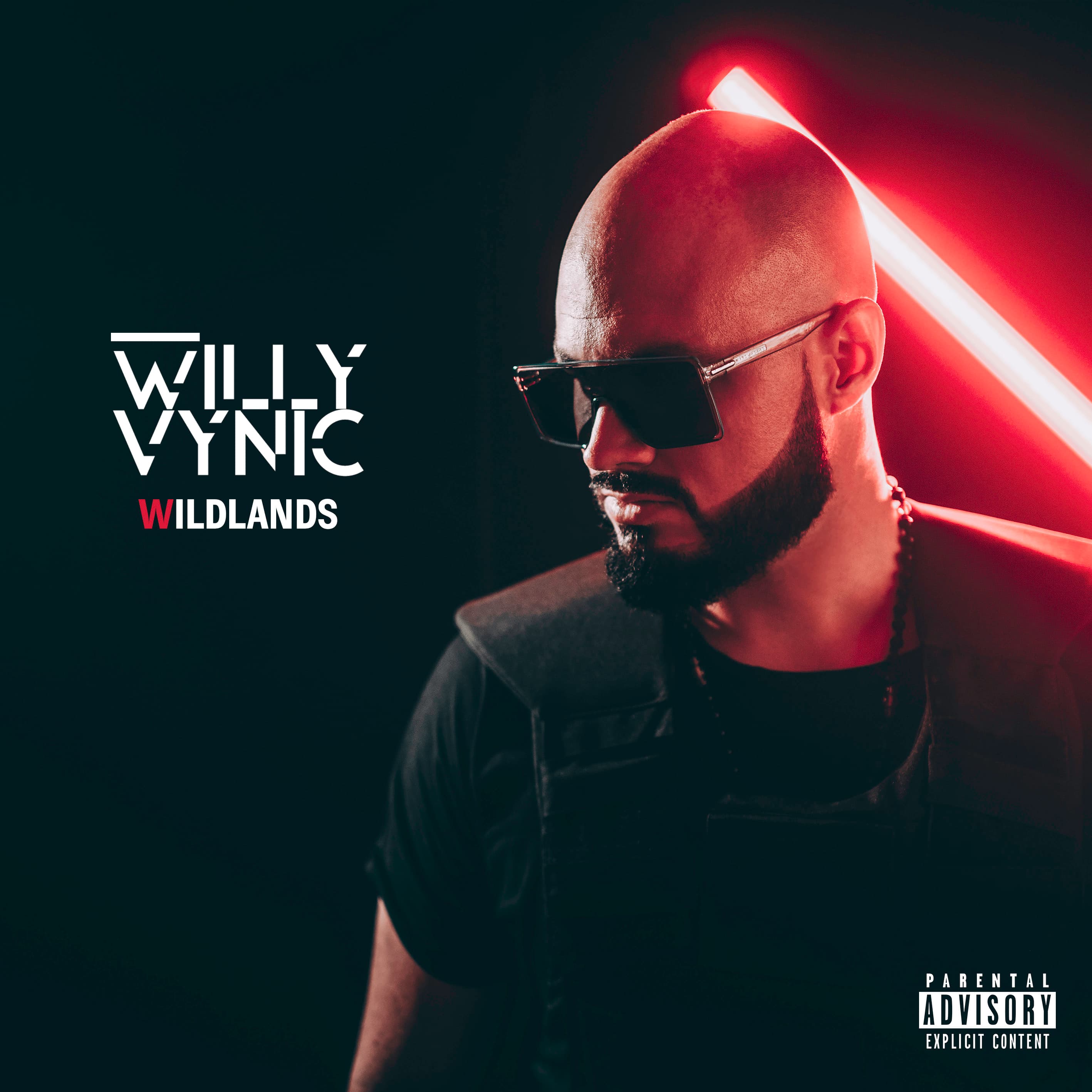 CD Willy Vynic - Wildlands 1