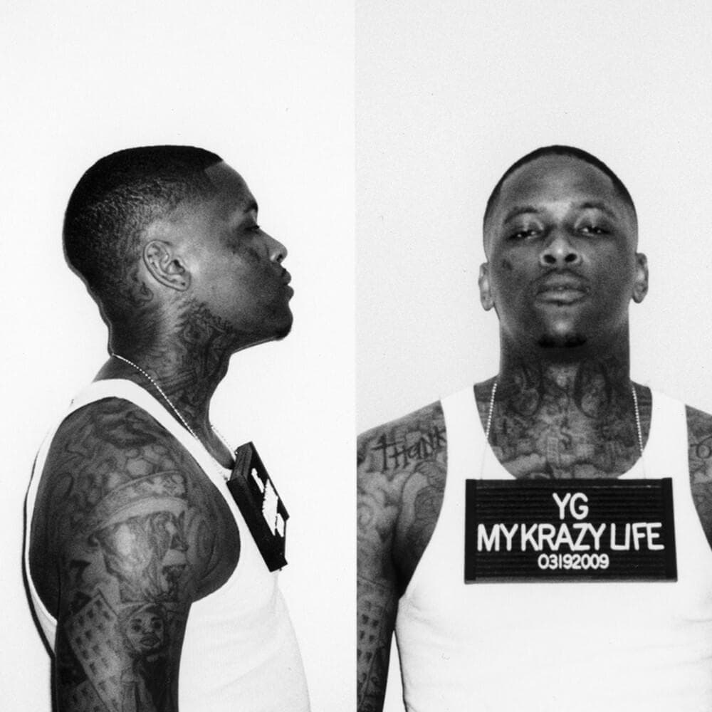 Vinyl YG - My Krazy Life
