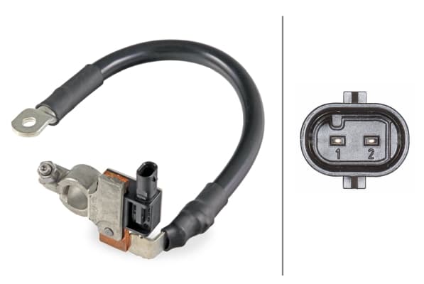 HELLA Senzor, management batérie 6PK010942901 1