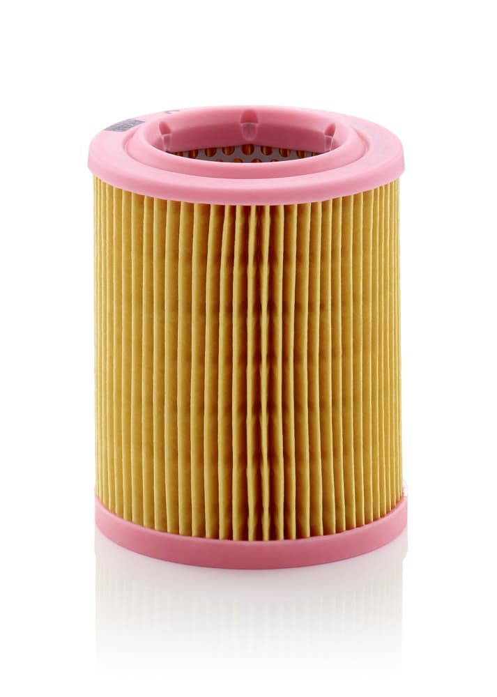 MANN-FILTER Vzduchový filter C1024 1