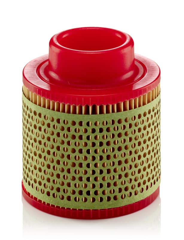 MANN-FILTER Vzduchový filter C1131 1
