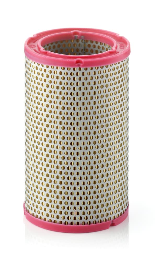 MANN-FILTER Vzduchový filter C1134 1