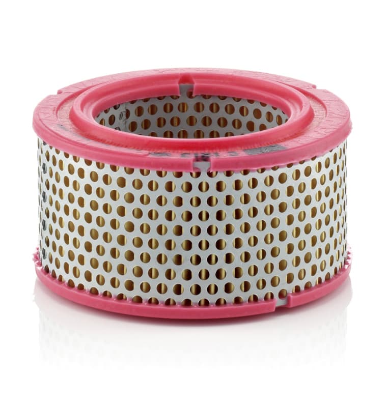 MANN-FILTER Vzduchový filter C1213 1