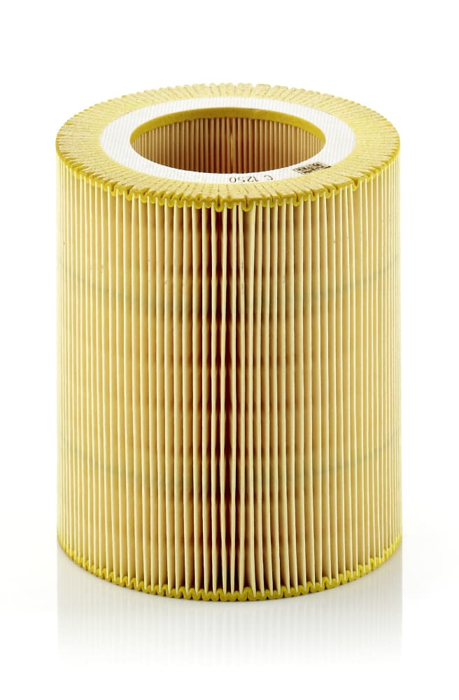 MANN-FILTER Vzduchový filter C1250 1