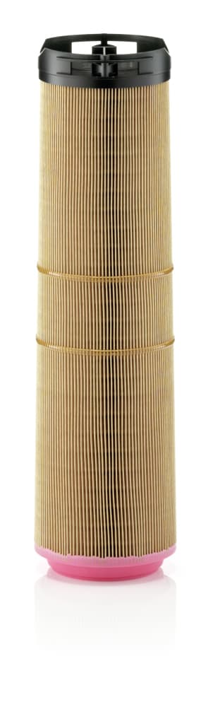 MANN-FILTER Vzduchový filter C121781 1