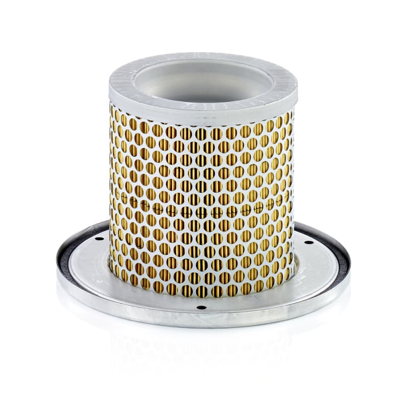 MANN-FILTER Filter sekundárneho vzduchu C1342KIT 1
