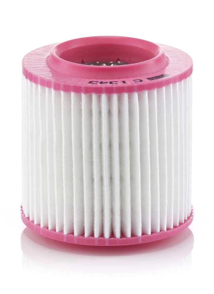 MANN-FILTER Vzduchový filter C1343 1