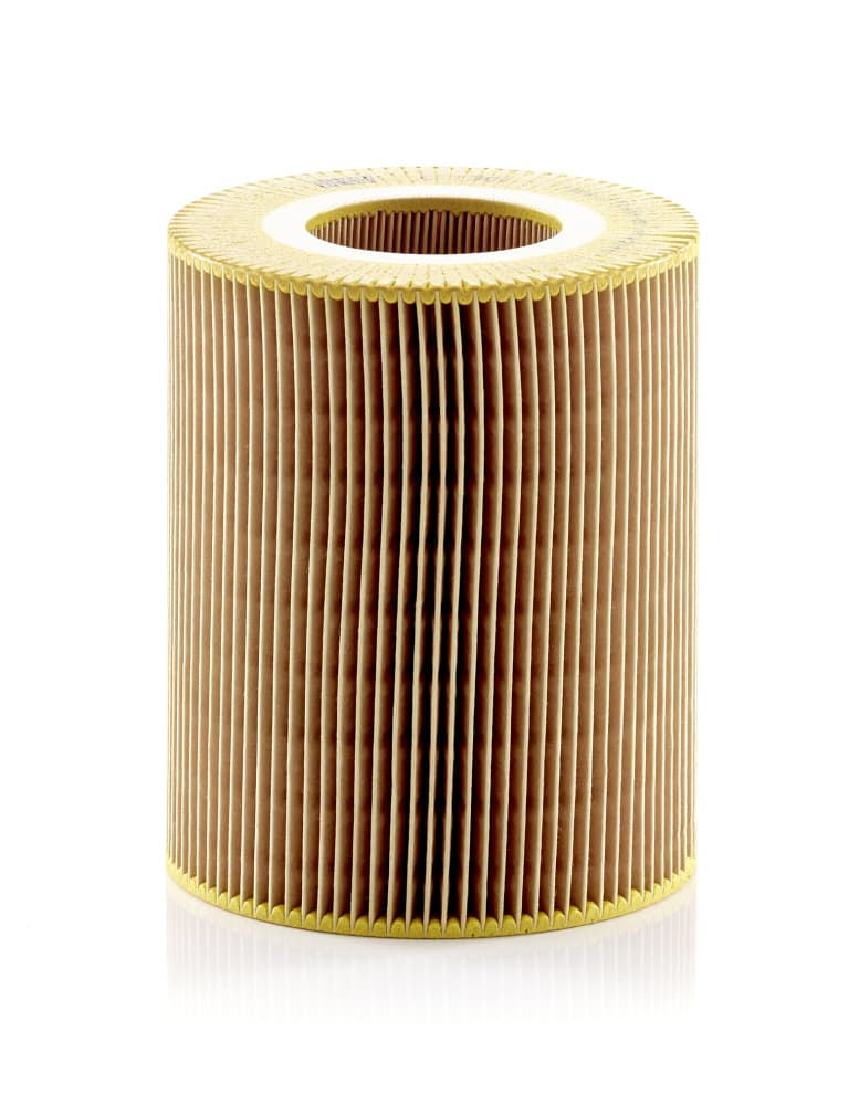 MANN-FILTER Vzduchový filter C1381 1