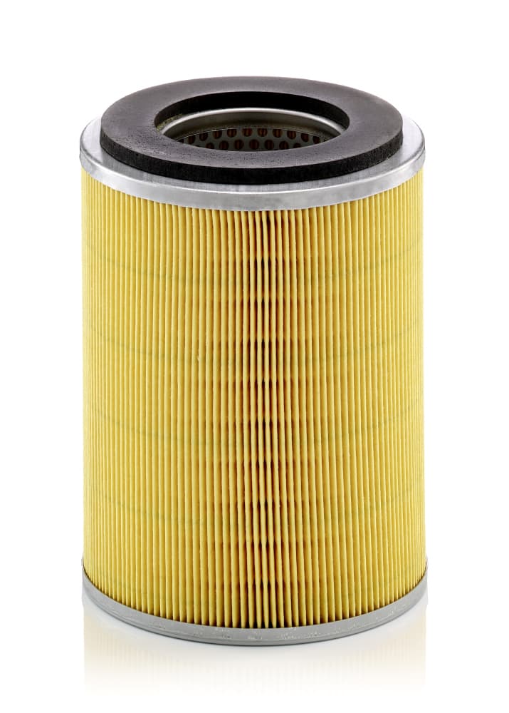 MANN-FILTER Vzduchový filter C131031 1