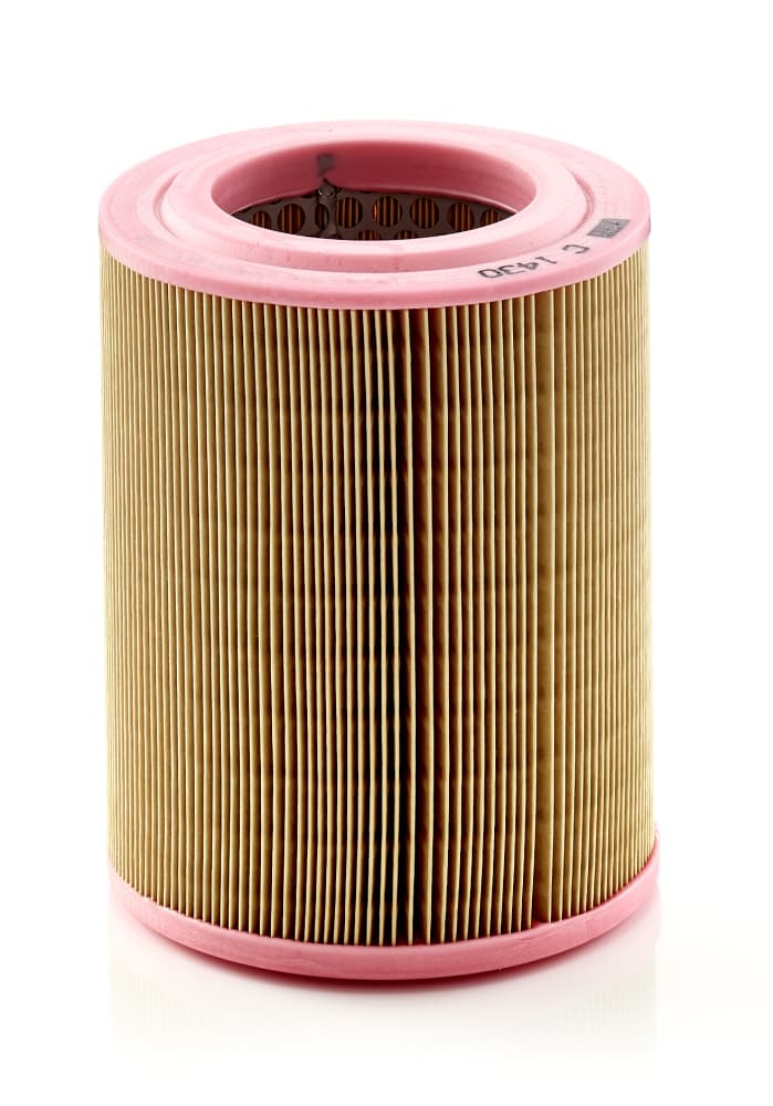 MANN-FILTER Vzduchový filter C1430 1