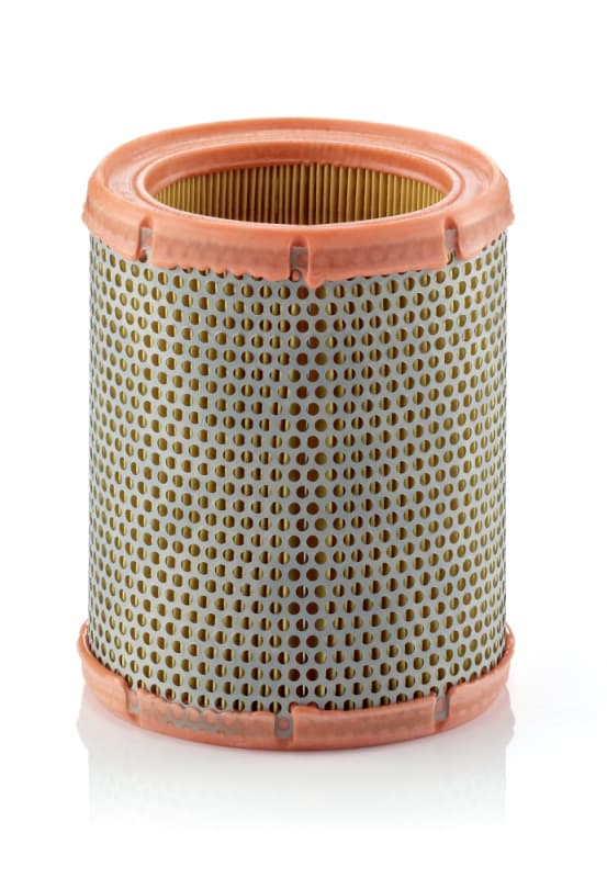 MANN-FILTER Vzduchový filter C1460 1