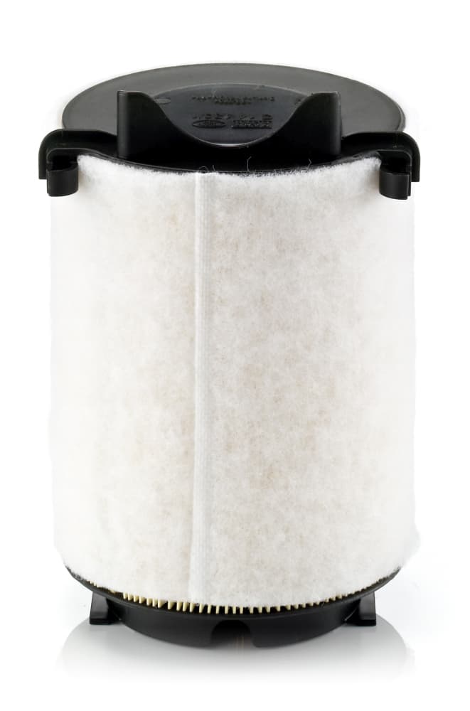 MANN-FILTER Vzduchový filter C141301 1