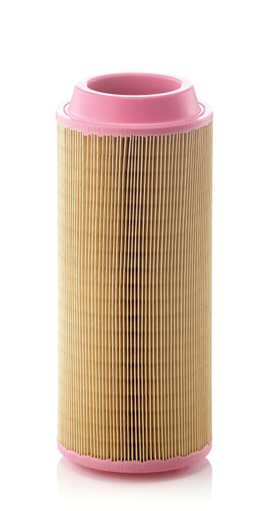 MANN-FILTER Vzduchový filter C15300 1