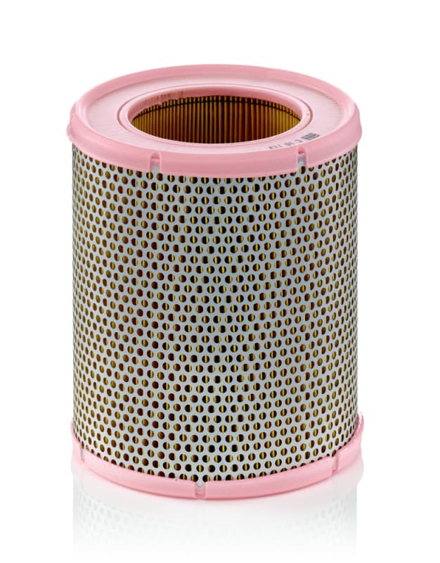 MANN-FILTER Vzduchový filter C16113 1