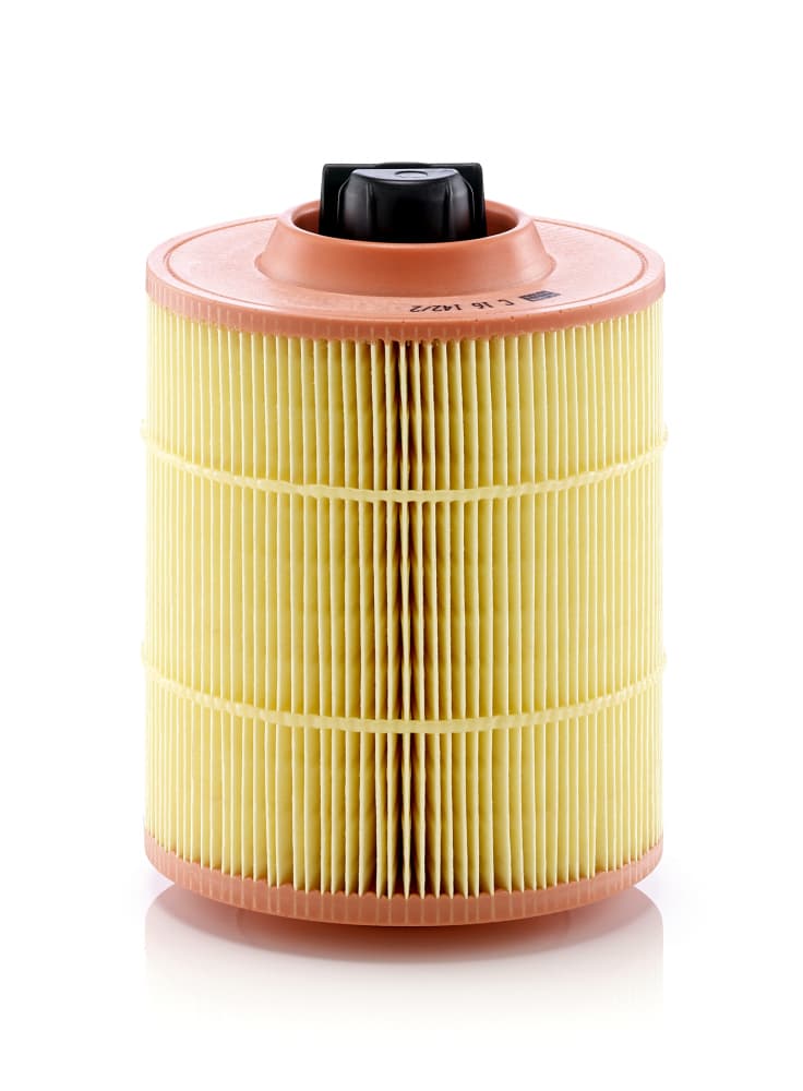 MANN-FILTER Vzduchový filter C161422 1