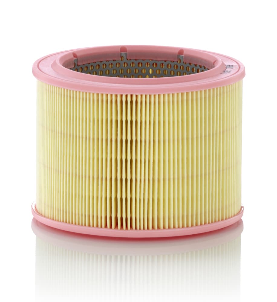 MANN-FILTER Vzduchový filter C17601 1
