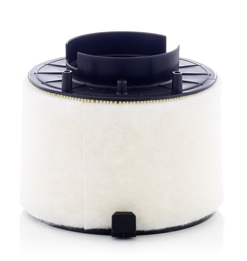 MANN-FILTER Vzduchový filter C17009 1