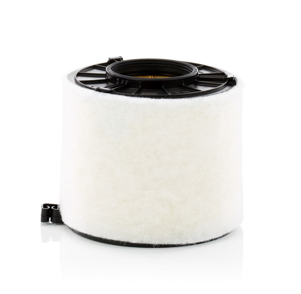 MANN-FILTER Vzduchový filter C17011 1