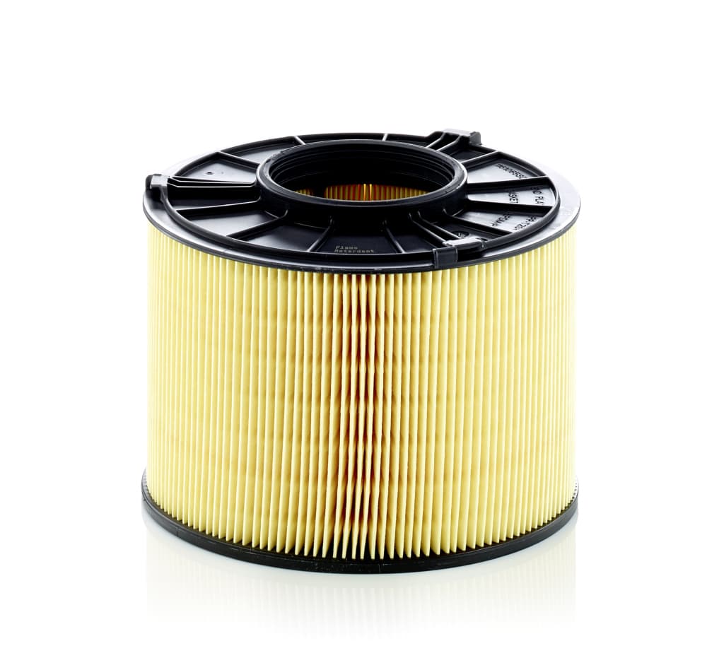 MANN-FILTER Vzduchový filter C170121 1