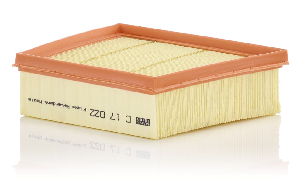 MANN-FILTER Vzduchový filter C 17 022 1