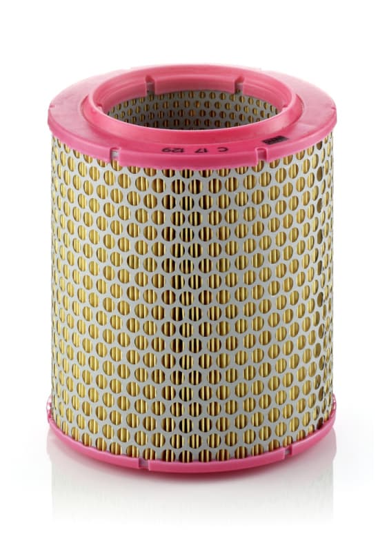 MANN-FILTER Vzduchový filter C17129 1