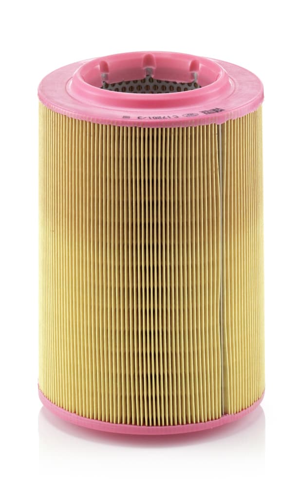 MANN-FILTER Vzduchový filter C172013 1