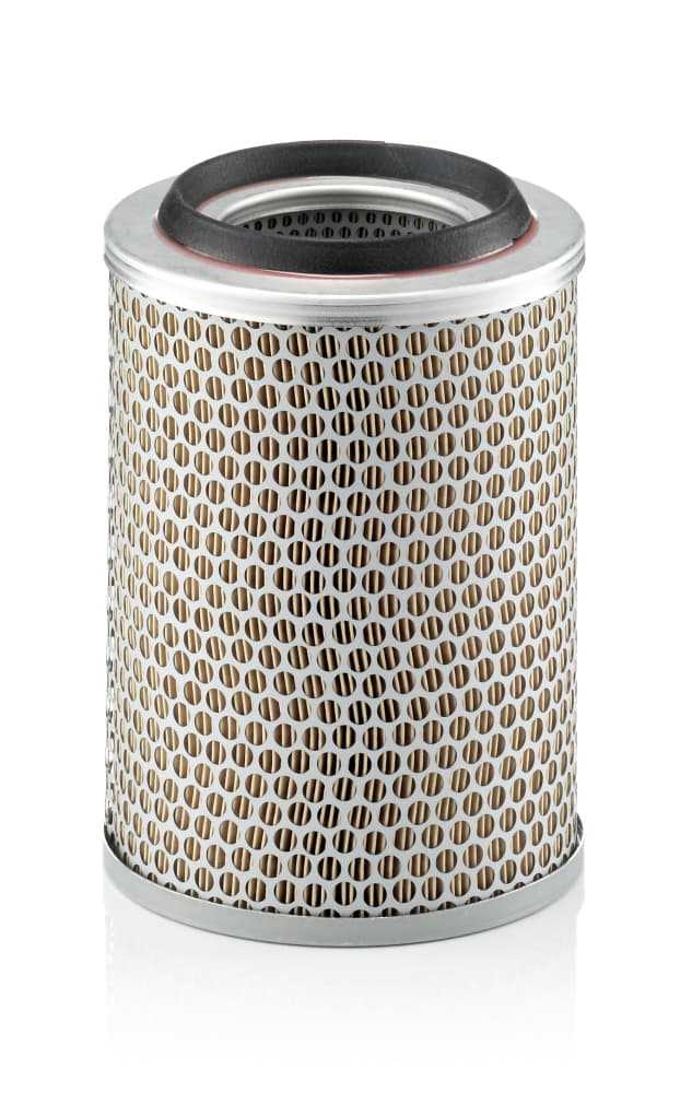 MANN-FILTER Vzduchový filter C17217 1