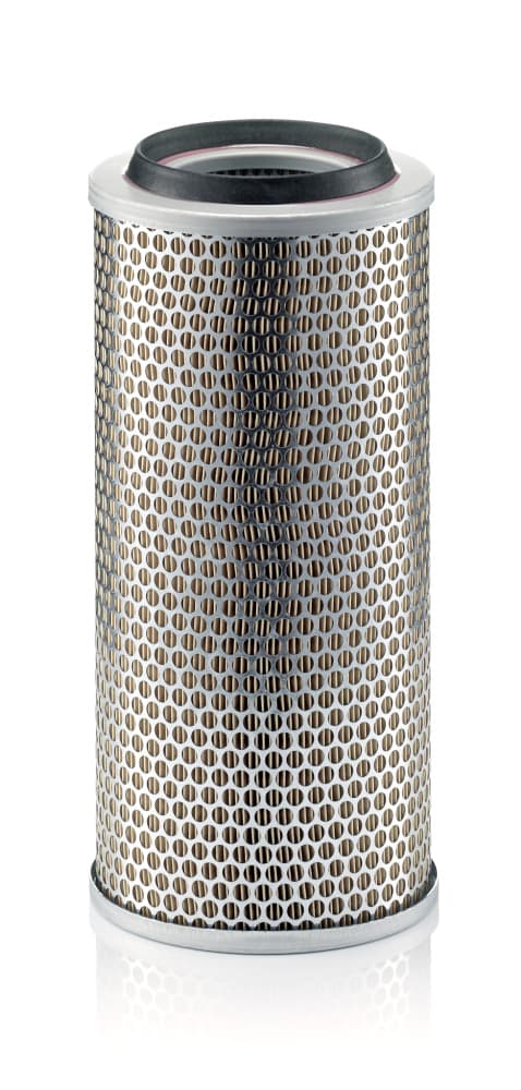 MANN-FILTER Vzduchový filter C172253 1