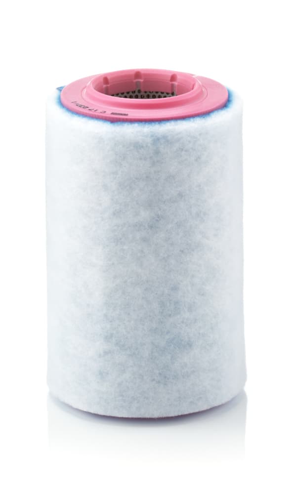 MANN-FILTER Vzduchový filter C172371 1