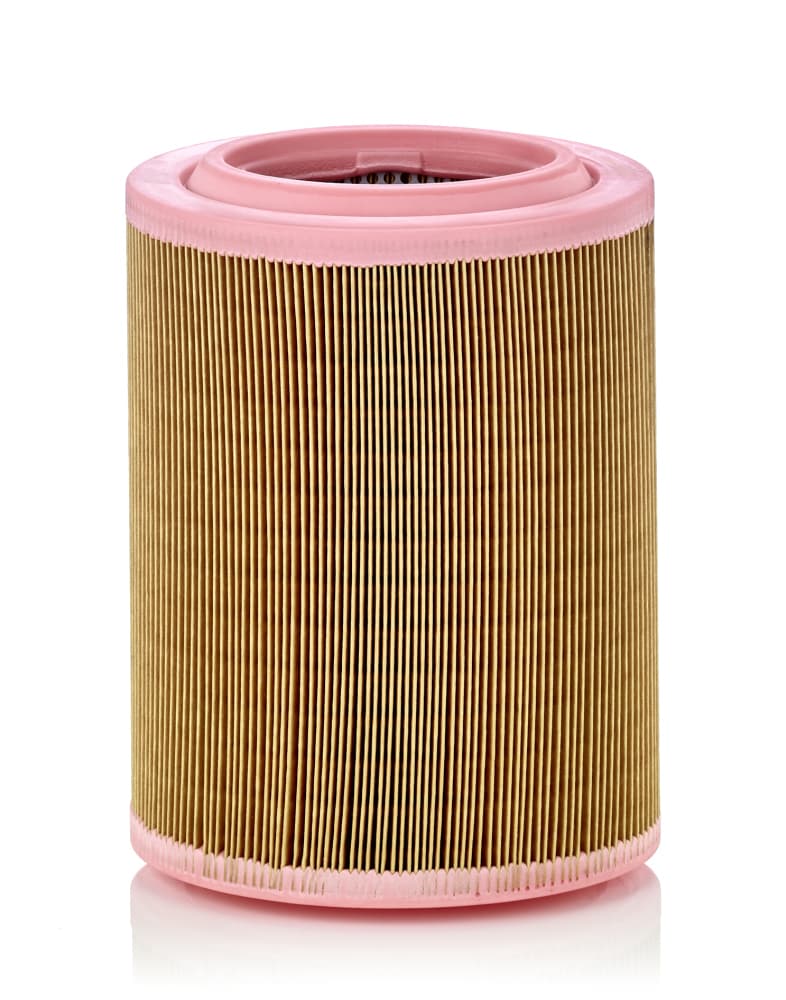 MANN-FILTER Vzduchový filter C18003 1