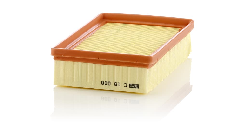 MANN-FILTER Vzduchový filter C18008 1