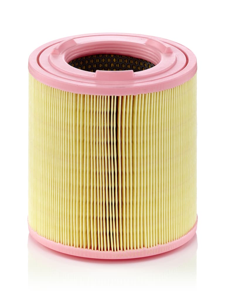 MANN-FILTER Vzduchový filter C181491 1