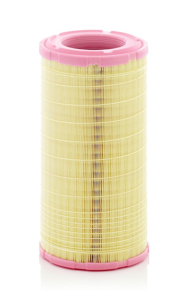 MANN-FILTER Vzduchový filter C19006 1