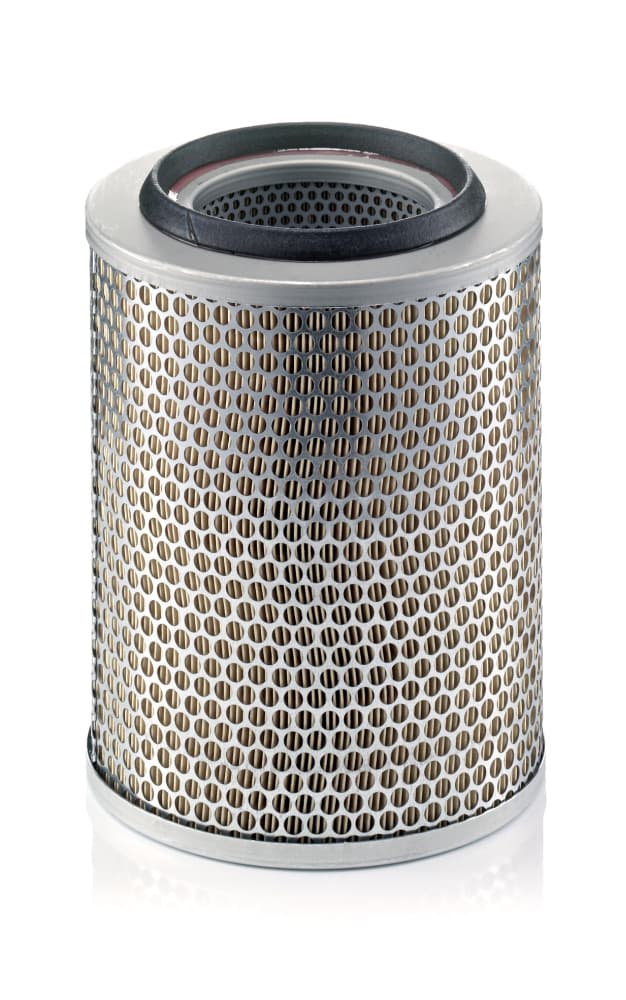 MANN-FILTER Vzduchový filter C20356 1