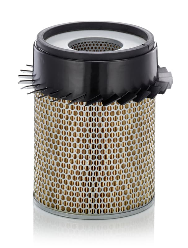 MANN-FILTER Vzduchový filter C21317 1