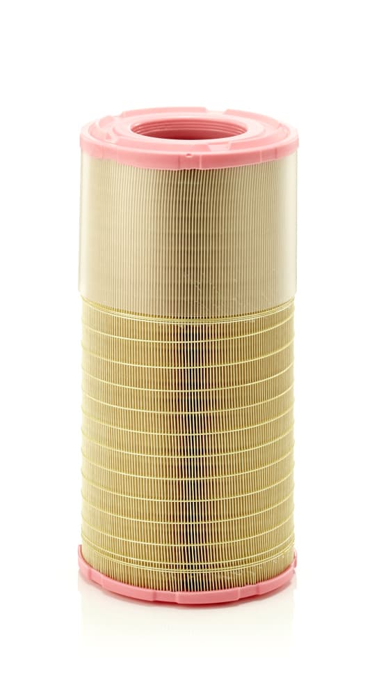 MANN-FILTER Vzduchový filter C216303 1