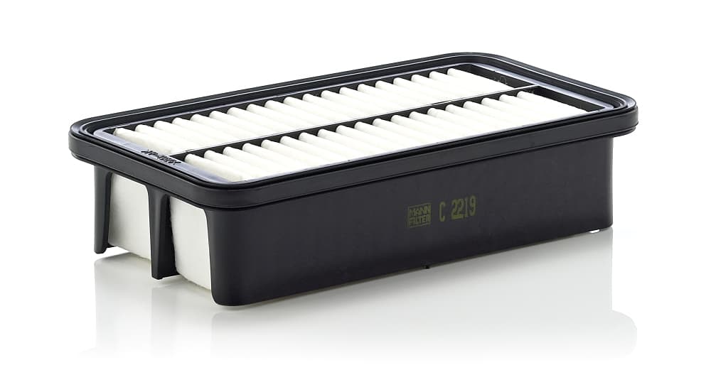 MANN-FILTER Vzduchový filter C2219 1