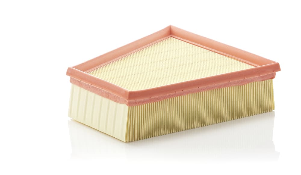 MANN-FILTER Vzduchový filter C22952 1