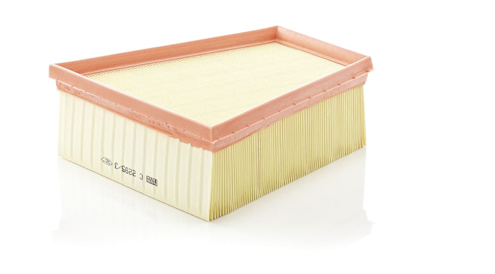 MANN-FILTER Vzduchový filter C22953 1