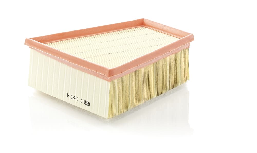 MANN-FILTER Vzduchový filter C22954 1