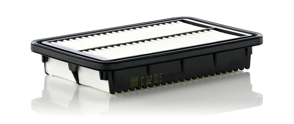 MANN-FILTER Vzduchový filter C22015 1