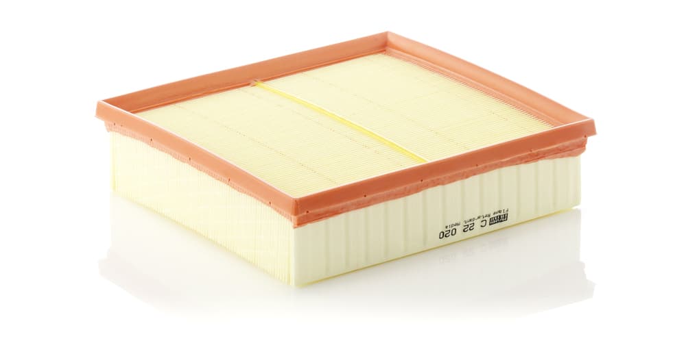 MANN-FILTER Vzduchový filter C22020 1