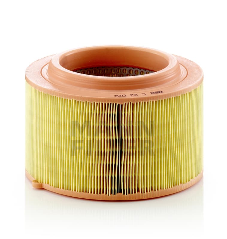 MANN-FILTER Vzduchový filter C22024 1