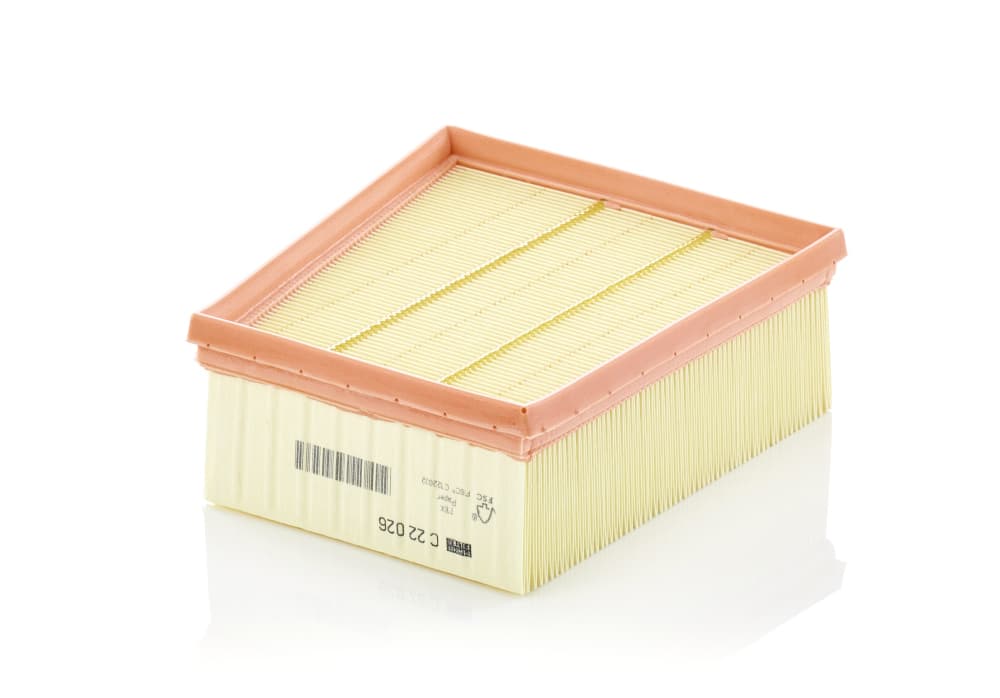 MANN-FILTER Vzduchový filter C22026 1