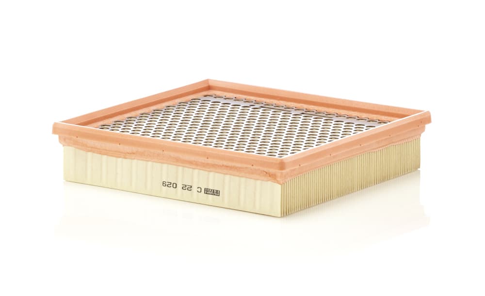 MANN-FILTER Vzduchový filter C22029 1
