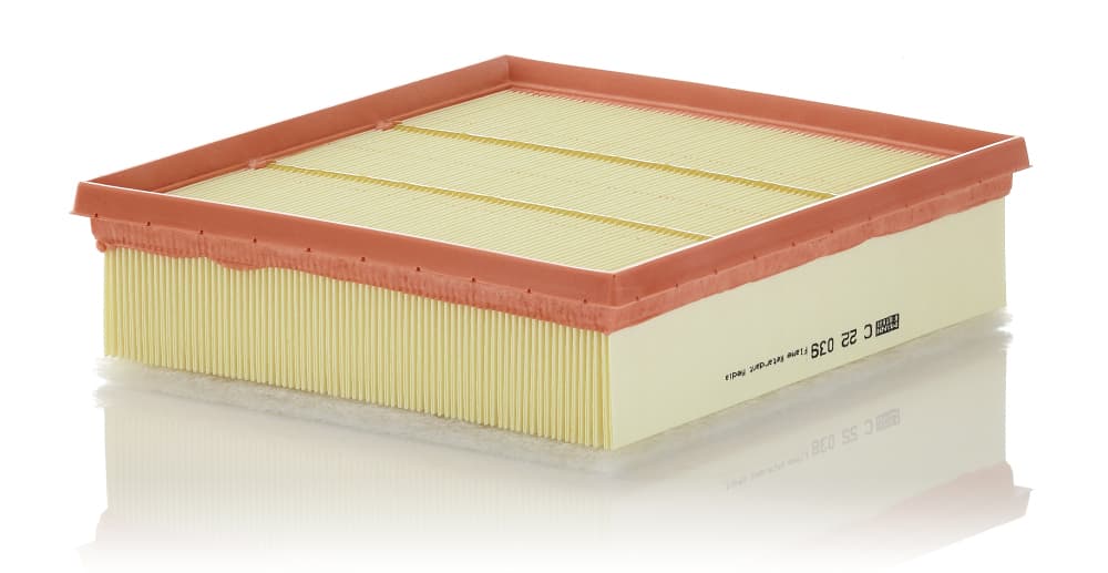 MANN-FILTER Vzduchový filter C22039 1